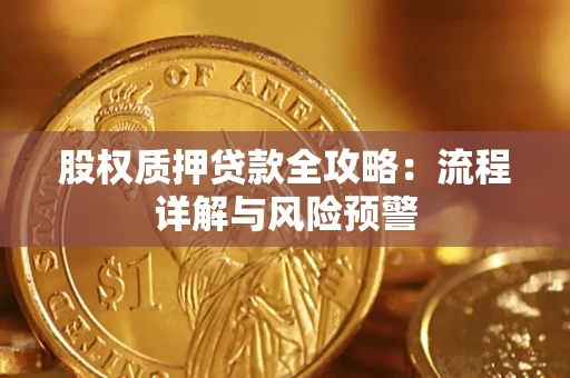 武汉股权质押贷款全攻略：流程详解与风险预警