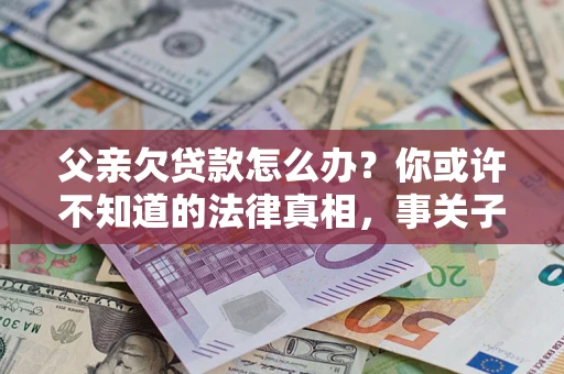 武汉父亲欠贷款怎么办？你或许不知道的法律真相，事关子女未来