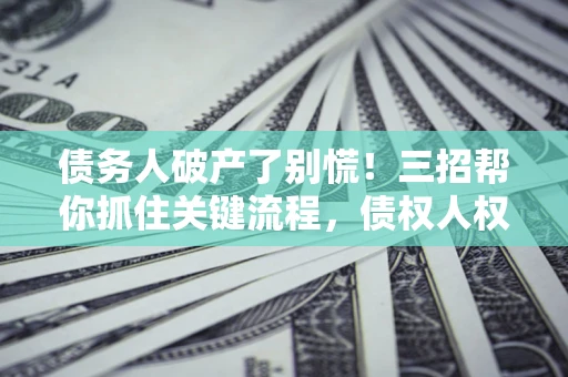 武汉债务人破产了别慌！三招帮你抓住关键流程，债权人权益不再缩水