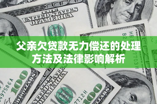 武汉父亲欠贷款无力偿还的处理方法及法律影响解析