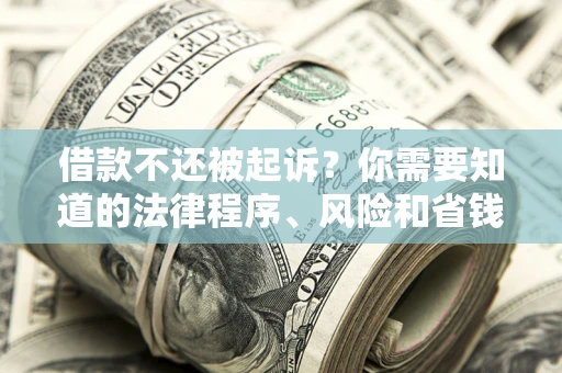 武汉借款不还被起诉？你需要知道的法律程序、风险和省钱技巧